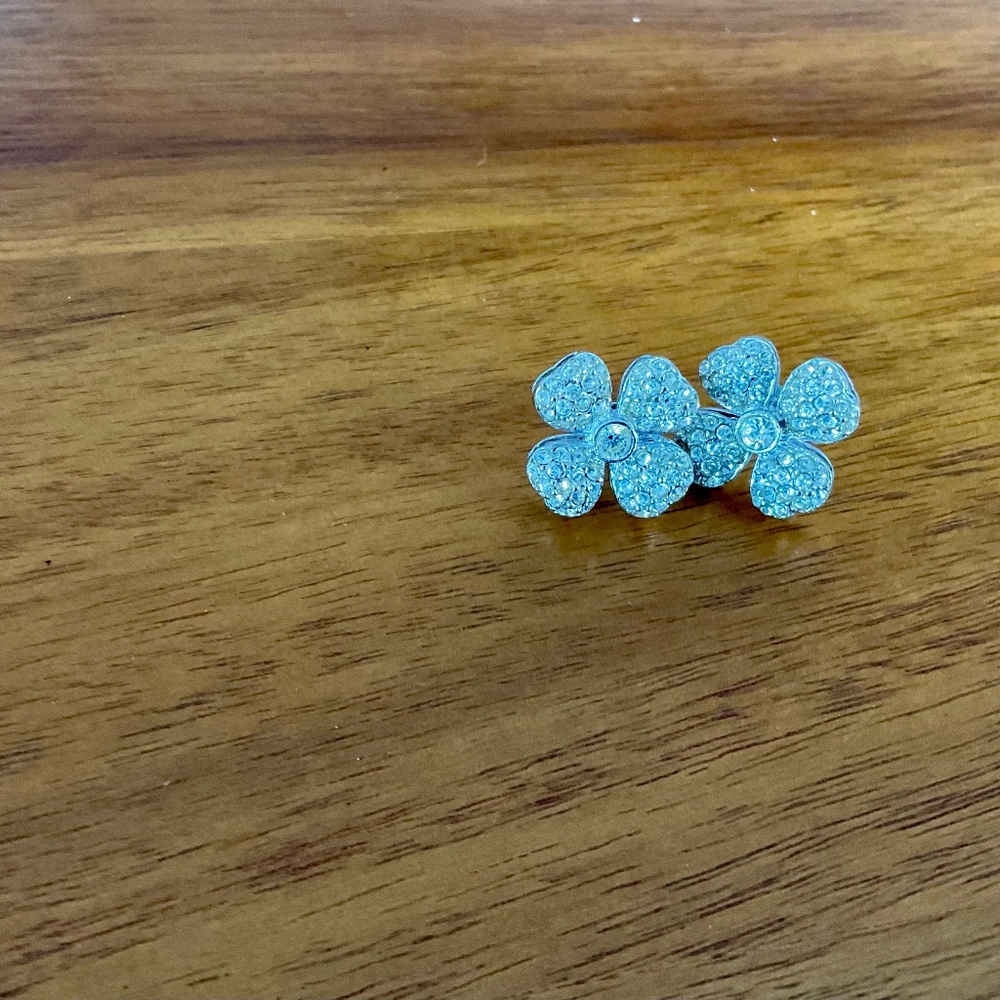 Sterling silver earrings